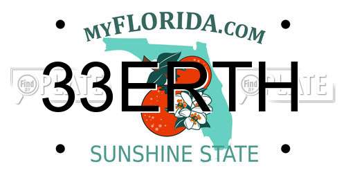 33ERTH Florida License Plate