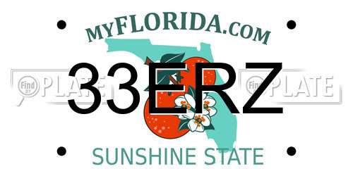 33ERZ Florida License Plate