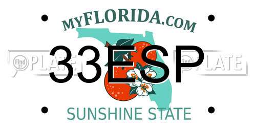 33ESP Florida License Plate