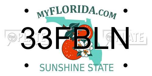 33FBLN Florida License Plate