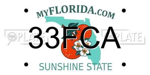 33FCA Florida License Plate