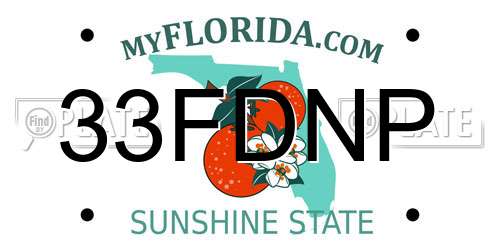 33FDNP Florida License Plate