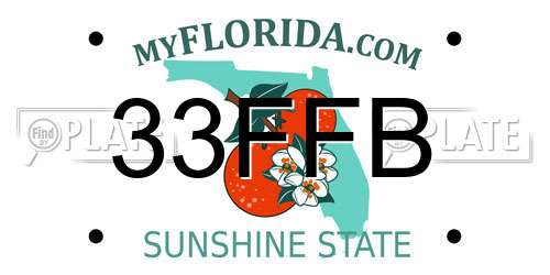 33FFB Florida License Plate