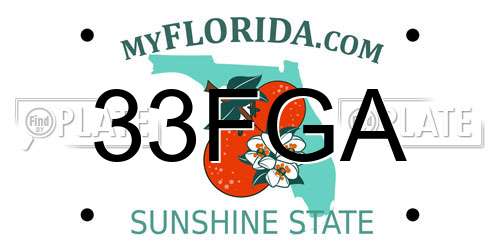 33FGA Florida License Plate