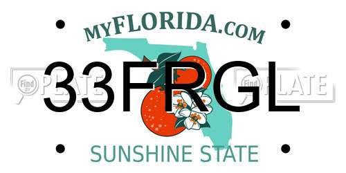 33FRGL Florida License Plate