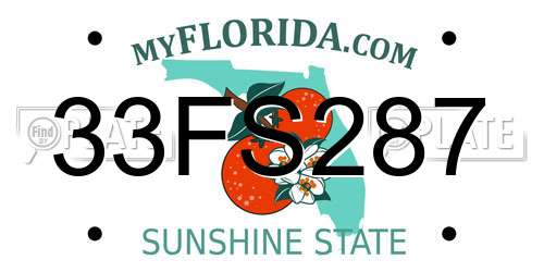 33FS287 Florida License Plate