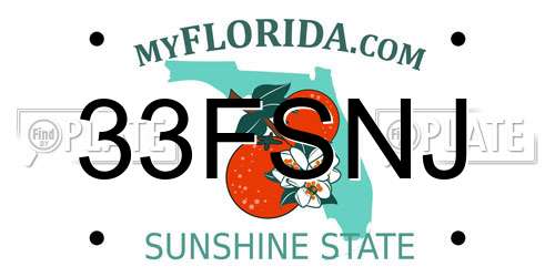 33FSNJ Florida License Plate