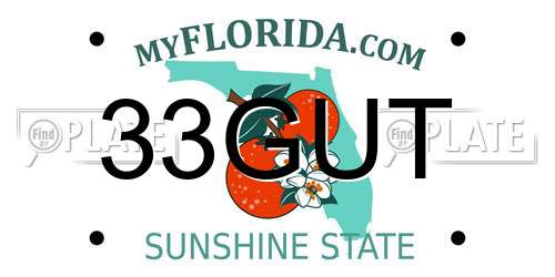 33GUT Florida License Plate
