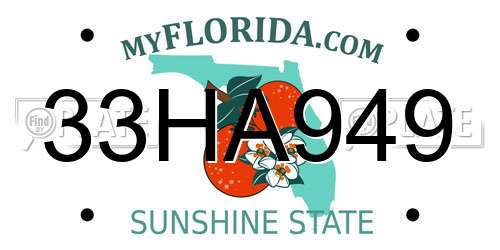 33HA949 Florida License Plate