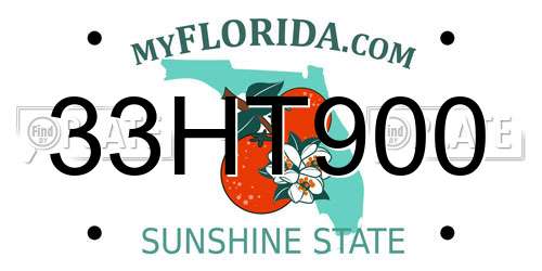 33HT900 Florida License Plate