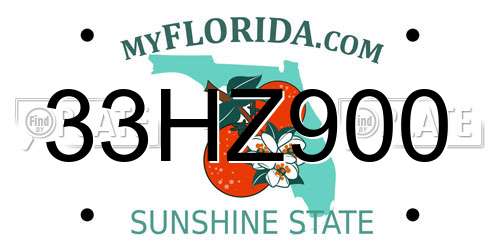 33HZ900 Florida License Plate