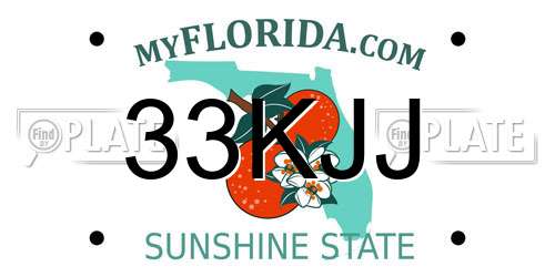 33KJJ Florida License Plate
