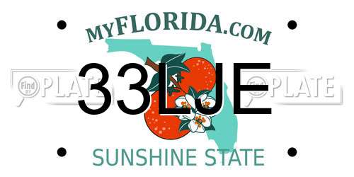 33LJE Florida License Plate