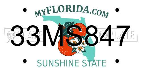 33MS847 Florida License Plate