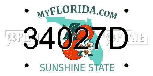 34027D Florida License Plate