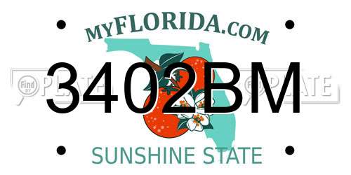 3402BM Florida License Plate