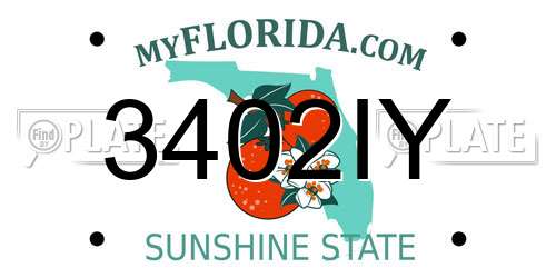 3402IY Florida License Plate