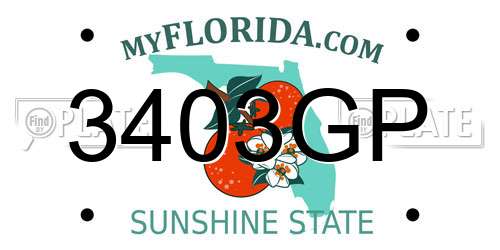 3403GP Florida License Plate