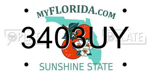 3403UY Florida License Plate
