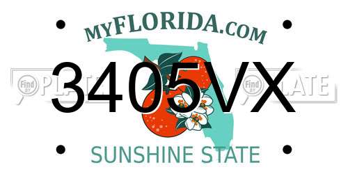 3405VX Florida License Plate
