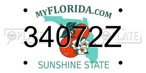 34072Z Florida License Plate