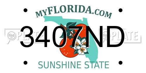 3407ND Florida License Plate