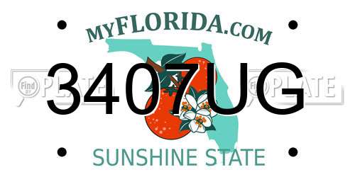 3407UG Florida License Plate