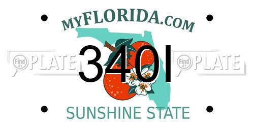 340I Florida License Plate