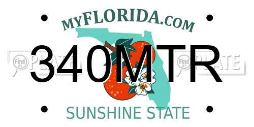 340MTR Florida License Plate