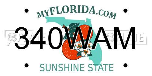 340WAM Florida License Plate