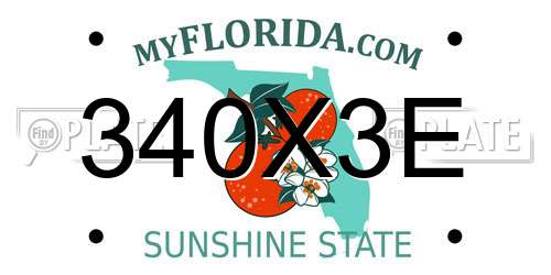 340X3E Florida License Plate