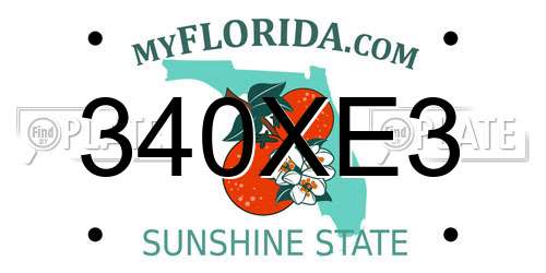 340XE3 Florida License Plate