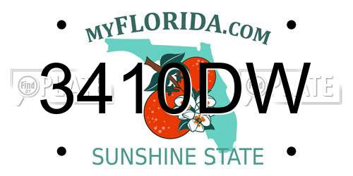 3410DW Florida License Plate