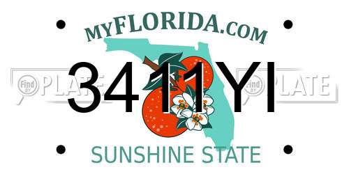 3411YI Florida License Plate