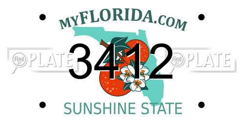 3412 Florida License Plate