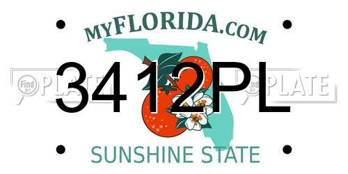 3412PL Florida License Plate