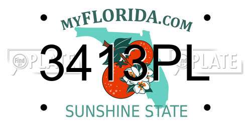 3413PL Florida License Plate