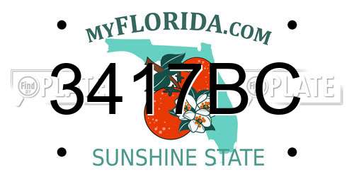 3417BC Florida License Plate