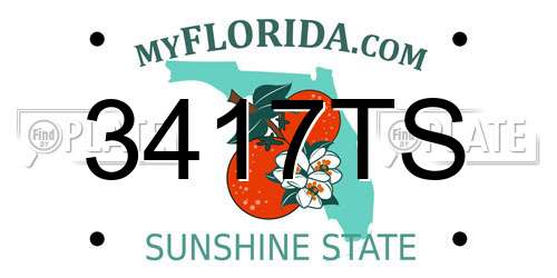 3417TS Florida License Plate