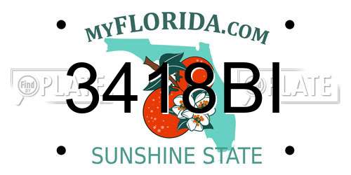 3418BI Florida License Plate