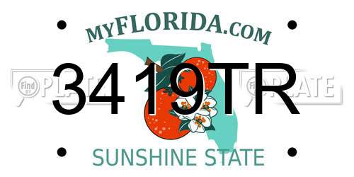 3419TR Florida License Plate