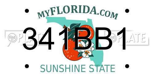 341BB1 Florida License Plate