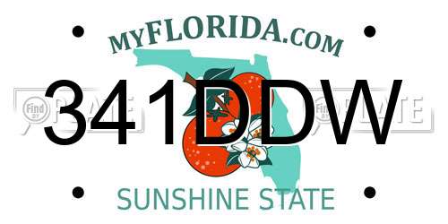 341DDW Florida License Plate