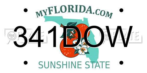 341DOW Florida License Plate