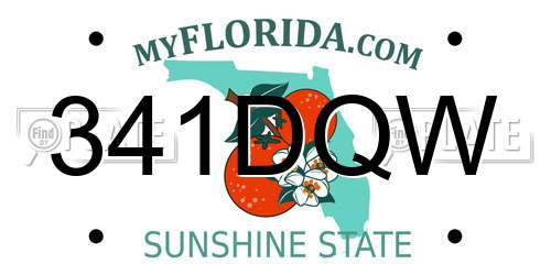 341DQW Florida License Plate
