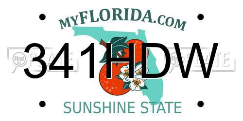 341HDW Florida License Plate