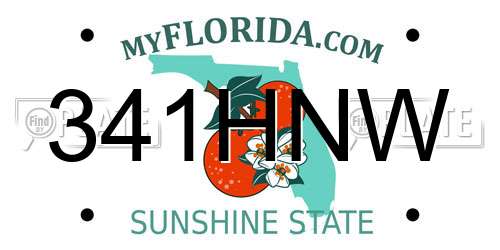 341HNW Florida License Plate