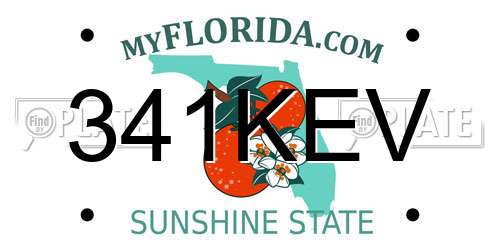 341KEV Florida License Plate