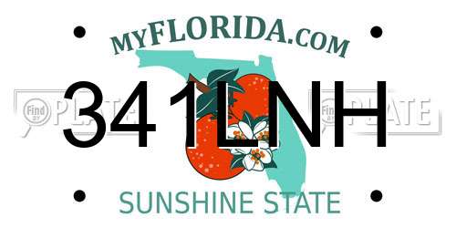 341LNH Florida License Plate