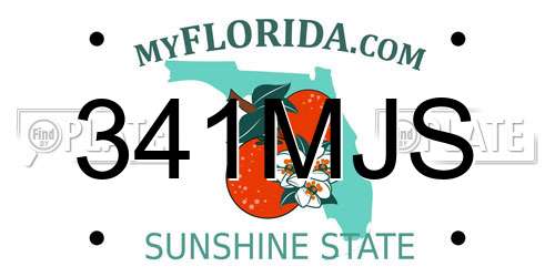 341MJS Florida License Plate